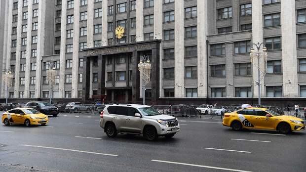 В Госдуму внесли проект о штрафе за жестокое обращение с животными 