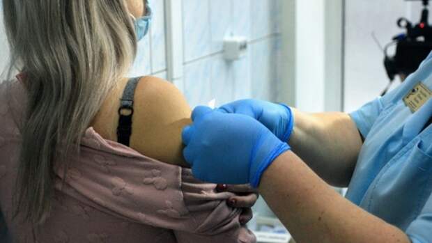 До 30% пострадавших от укусов в России отказываются от прививки от бешенства