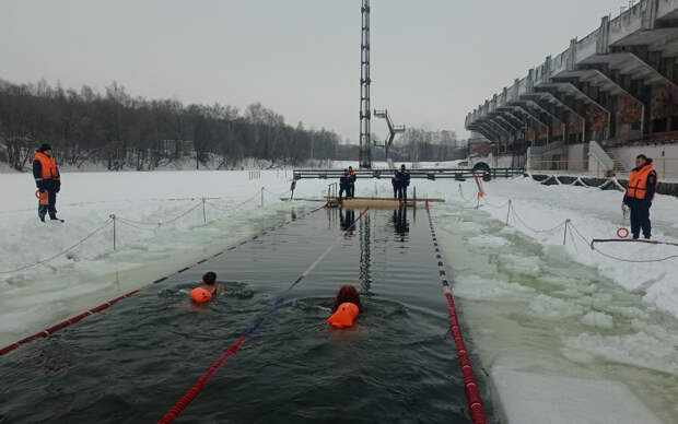 В Рязани прошёл чемпионат по зимнему плаванию