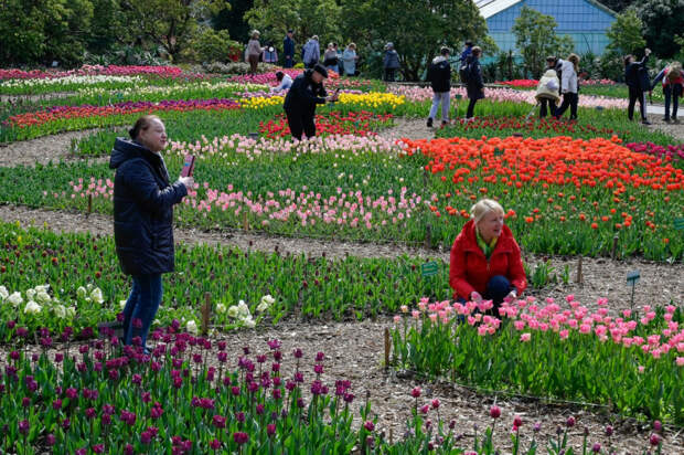 Куда сходить и что посмотреть с 17 по 23 апреля в Крыму