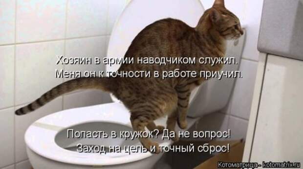 Котоматрица на Бугаге (33 фото)