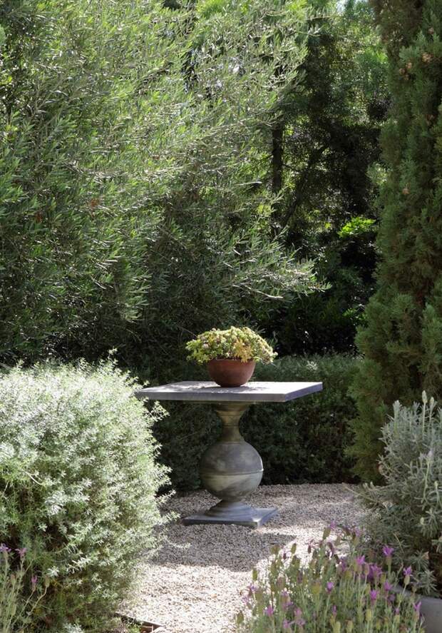 Красивые садовые растения в горшках: скульптурный стол