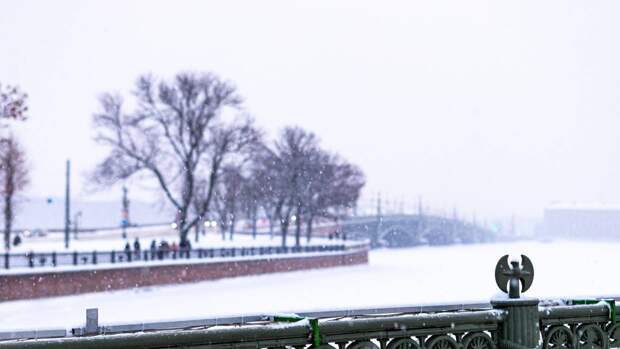 МЧС предупредило петербуржцев об усилении ветра и мокром снеге в пятницу