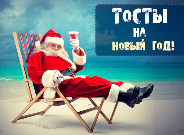 тосты на новый год