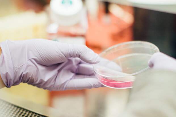 cell lab 3