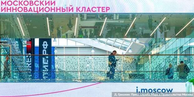 Сергунина: Московский инновационный кластер запустил сервис цифрового факторинга/Фото Д. Гришкин. mos.ru