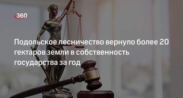 Подольское лесничество вернуло более 20 гектаров земли в собственность государства за год