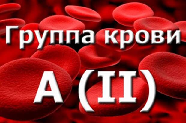 Поведение и не только: как японцы разбираются в характере людей по группе крови