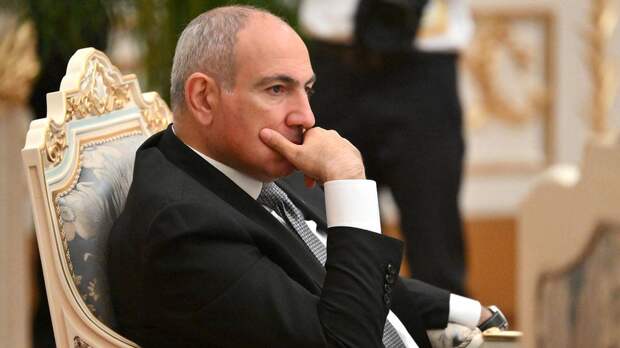 Пашинин попал в скандал, сравнив избирателей с животными