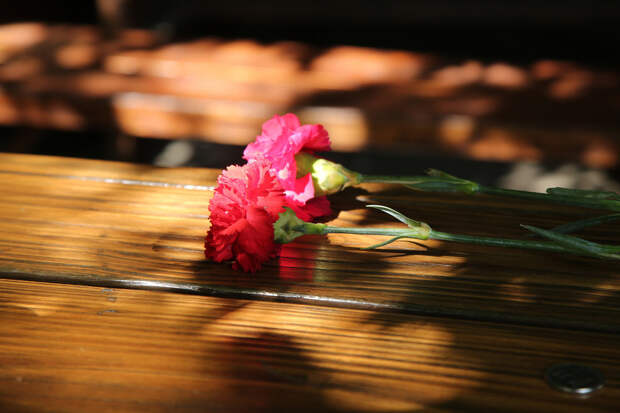 Названа причина смерти актрисы Галины Федоровой