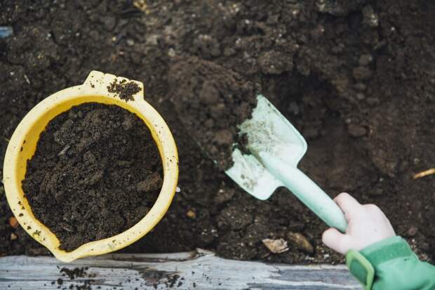Использование компоста при посадке многолетних растений - секрет успеха