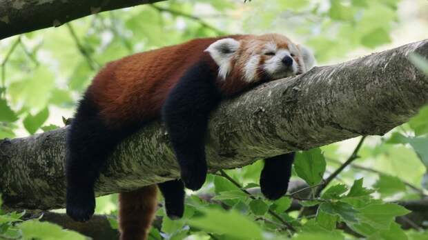 Эксперт Шубин назвал главным трендом 2026 года переход к короткому отдыху