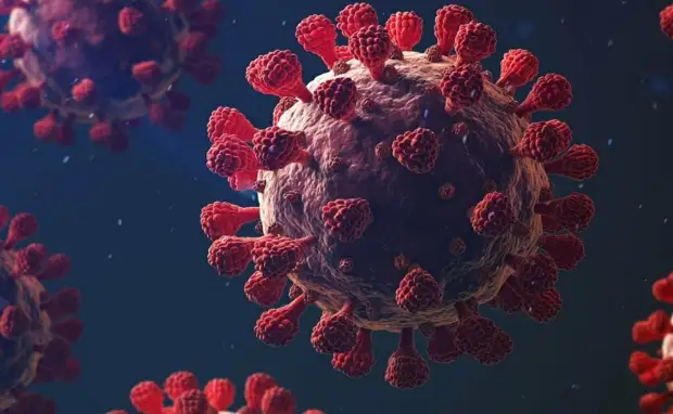 В Роспотребнадзоре рассказали о ситуации с коронавирусом в России