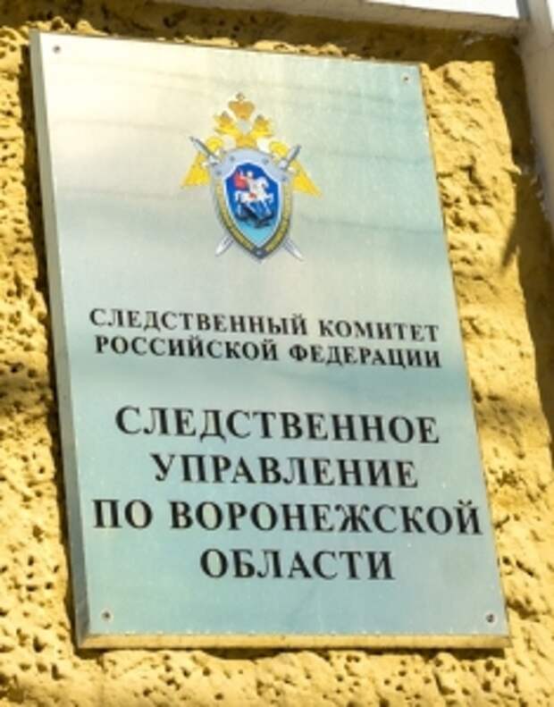 Председатель СК России поручил доложить о ходе расследования уголовного дела по факту гибели и травмирования жителей Воронежской области