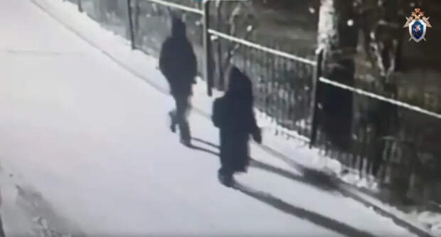 Похищенный в Красноярске подросток обратился к отцу по видео