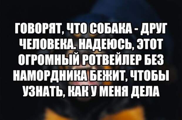 Прикольные картинки с текстом (21 фото)