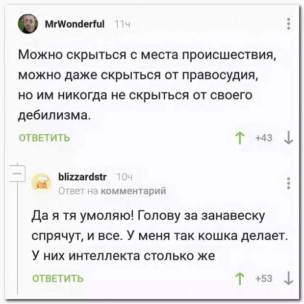 Смешные комментарии. Подборка chert-poberi-kom-chert-poberi-kom-09350421092020-18 картинка chert-poberi-kom-09350421092020-18
