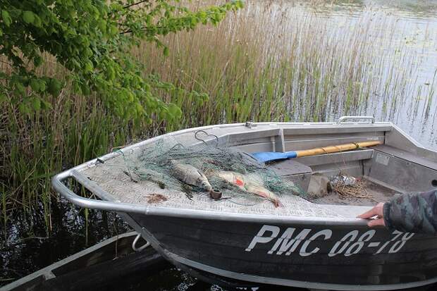 Жителям Смоленской области напомнили о начале нерестового периода