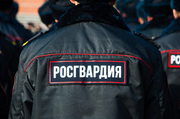 Дилфуза смело оскорбляла росгвардейцев. А теперь почему-то извиняется