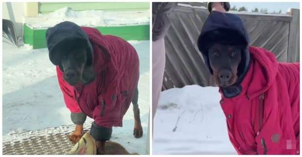 Первый парень не деревне