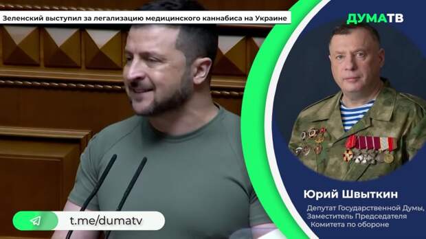 Депутат Швыткин назвал фантазией слова Зеленского о «буферной зоне» Украины в России