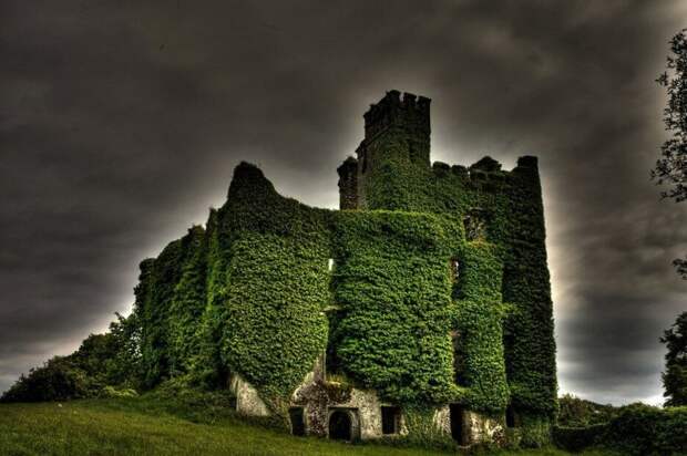 Это один из заброшенных замков в Ирландии. Не тот самый, где родилась Грейс, но очень похожий. С подобных твердынь они наблюдали за морскими далями, всегда готовые пуститься в погоню за показавшимся парусом.