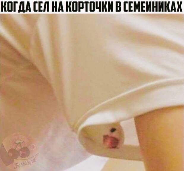 Мемы и приколы про 