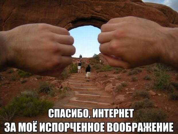 Смешные картинки и фотографии с надписями со смыслом (10 фото) Смешные картинки и фотографии с надписями со смыслом (10 фото)