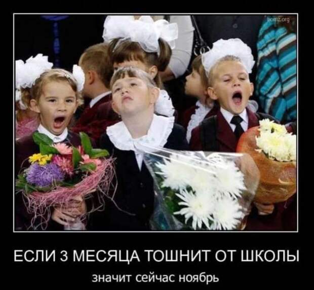 Прикольные демотиваторы с надписями. Подборка chert-poberi-dem-chert-poberi-dem-39000330082020-11 картинка chert-poberi-dem-39000330082020-11