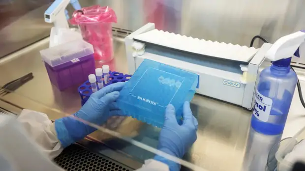 Попова сообщила, что рост заболеваемости COVID-19 наблюдается только в Амурской области