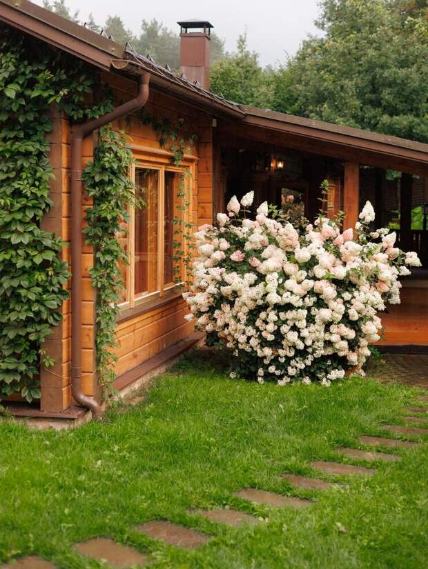 Designed by Freepik. Источник: www.freepik.com