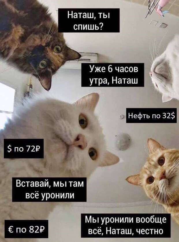 мемы про доллар