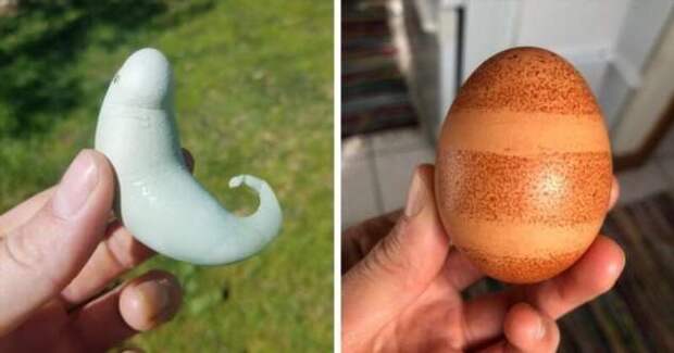 20 странных яиц, которые наверняка удивили даже тех, кто их снес (21 фото)