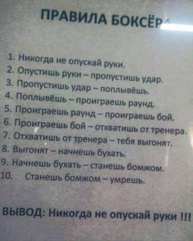 Подборка картинок. Вечерний выпуск (54 фото)