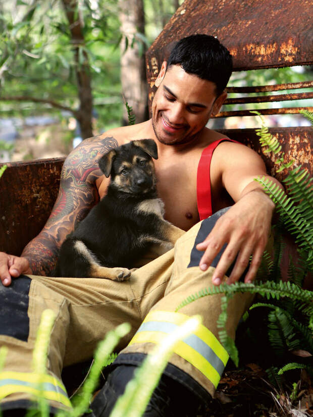Пожарные Австралии снялись с животными для благотворительного календаря 2020  1 11