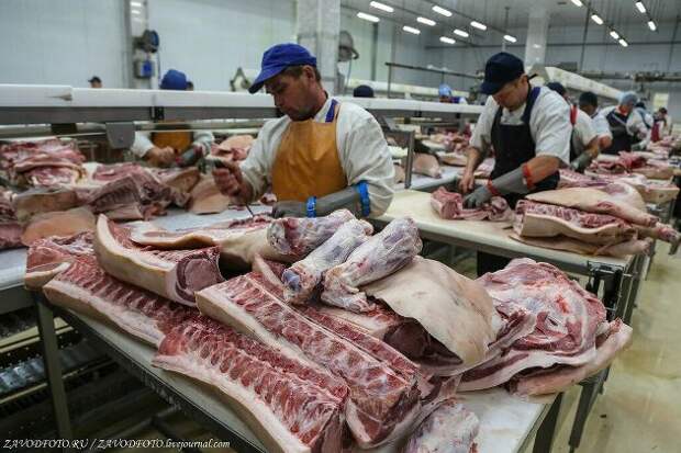 Россия существенно нарастила экспорт мяса в 2021 году