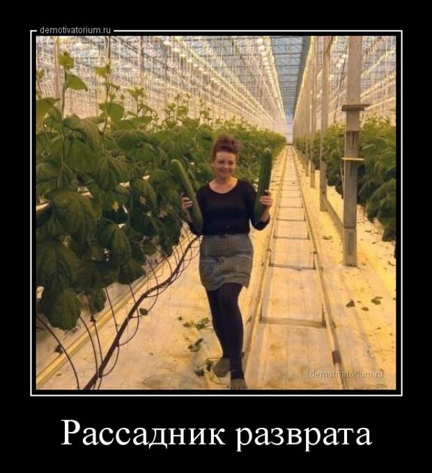 Забавные вечерние демотиваторы из нашей жизни со смыслом
