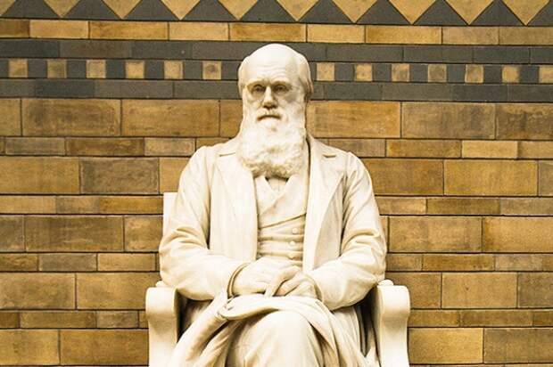 Памятник Ч. Дарвину в Музее естествознания в Лондоне, Великобритания
