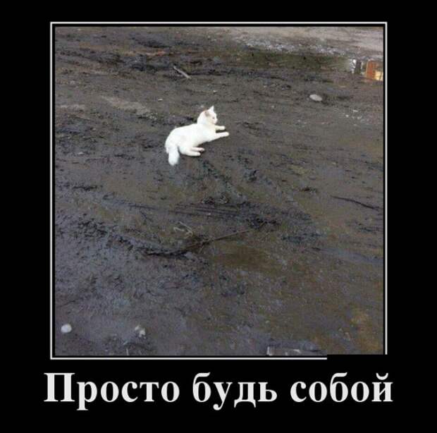 Смешные демотиваторы для настроения (10 фото)