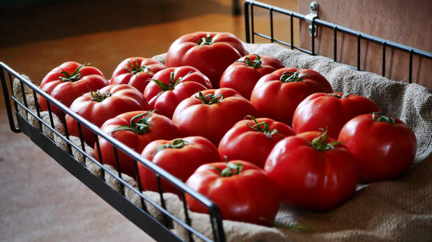 Почему помидоры нельзя хранить в холодильнике