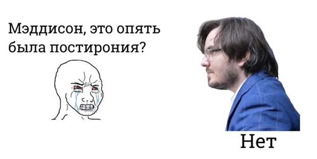 Мэддисон вступил в ЛДПР