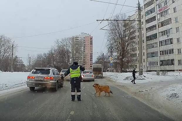 Кадр из видео. 