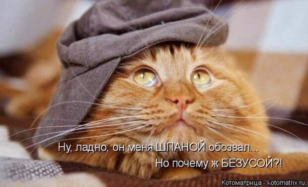 19 (700x424, 285Kb)