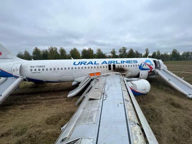 Пилот «Уральских авиалиний» уволился после посадки на пшеничном поле