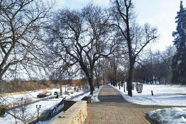 В Тамбове на этой неделе ожидается до +8 градусов