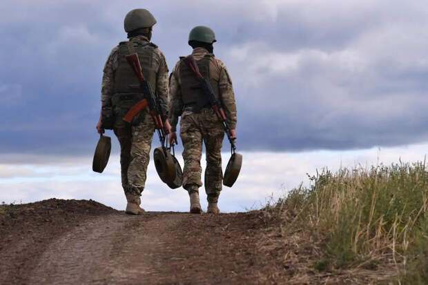 Politico: Эстония добивается запрета на въезд в ЕС для российских ветеранов СВО