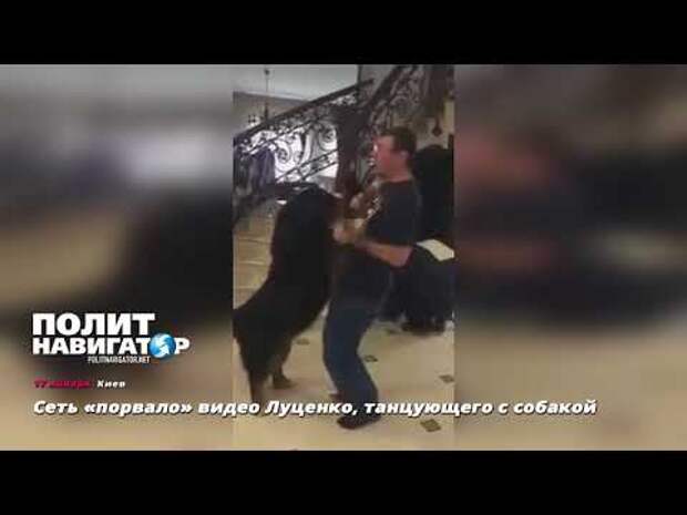 Сеть «порвало» видео Луценко, танцующего с собакой