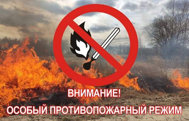 В четырёх районах Красноярского края ввели особый противопожарный режим
