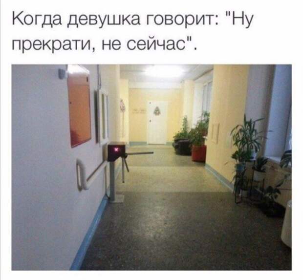 Приколы и мемы про современных девушек