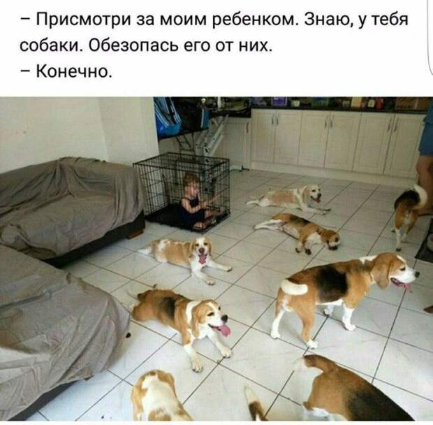 www.vsyako.net